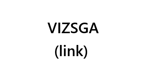 Vizsga